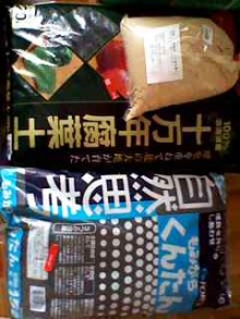 山田スイッチの『言い得て妙』　仕事と育児の荒波に、お母さんはもうどうやって原稿を書いてるのかわからなくなってきました。。。-111229_1447~001.jpg